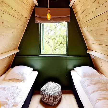 Cozy Woodland Near